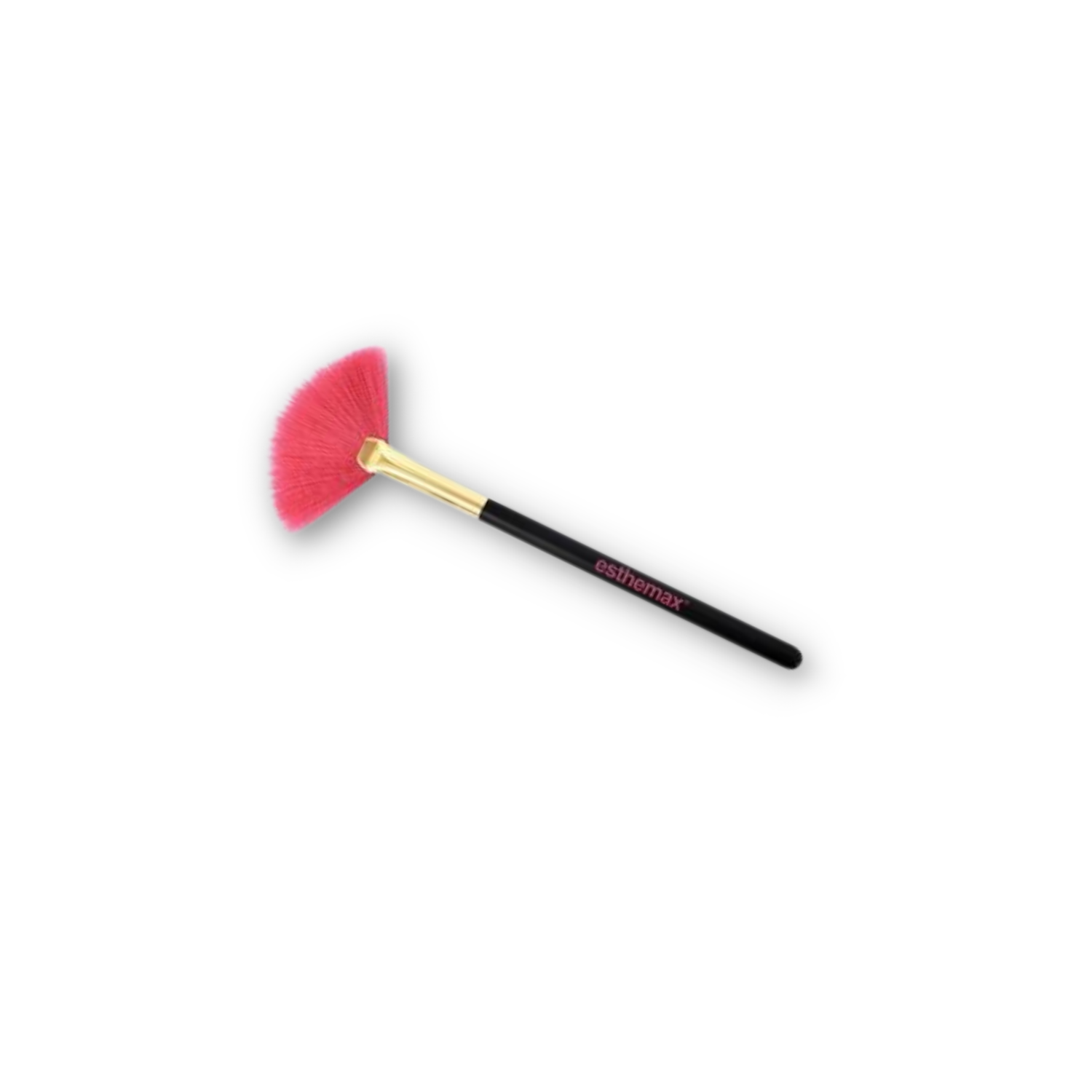 Esthemax Fan Brush